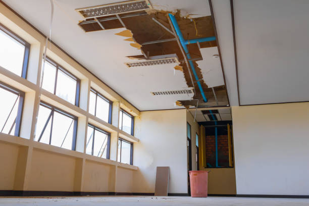Best Water damage cleanup near me  in Pinewood, FL