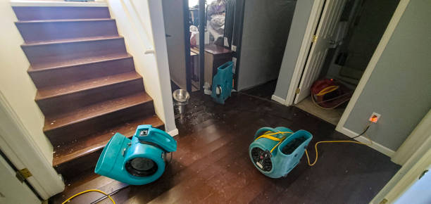 Best Water damage restoration near me  in Pinewood, FL