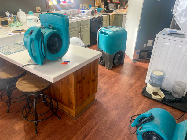 Best Basement water damage restoration  in Pinewood, FL