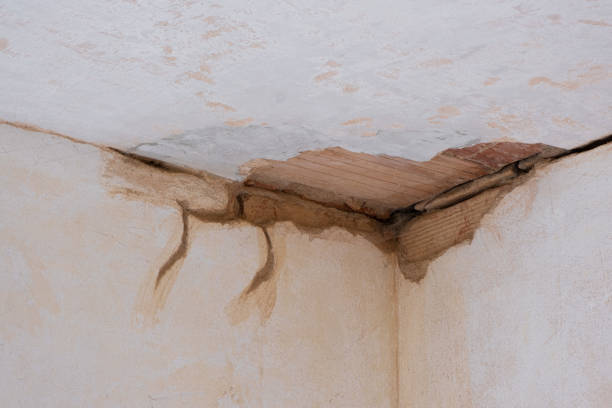 Best 24-hour water damage restoration  in Pinewood, FL