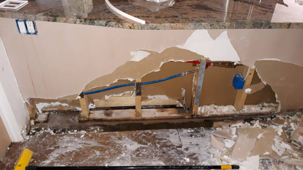 Best Carpet water damage restoration  in Pinewood, FL